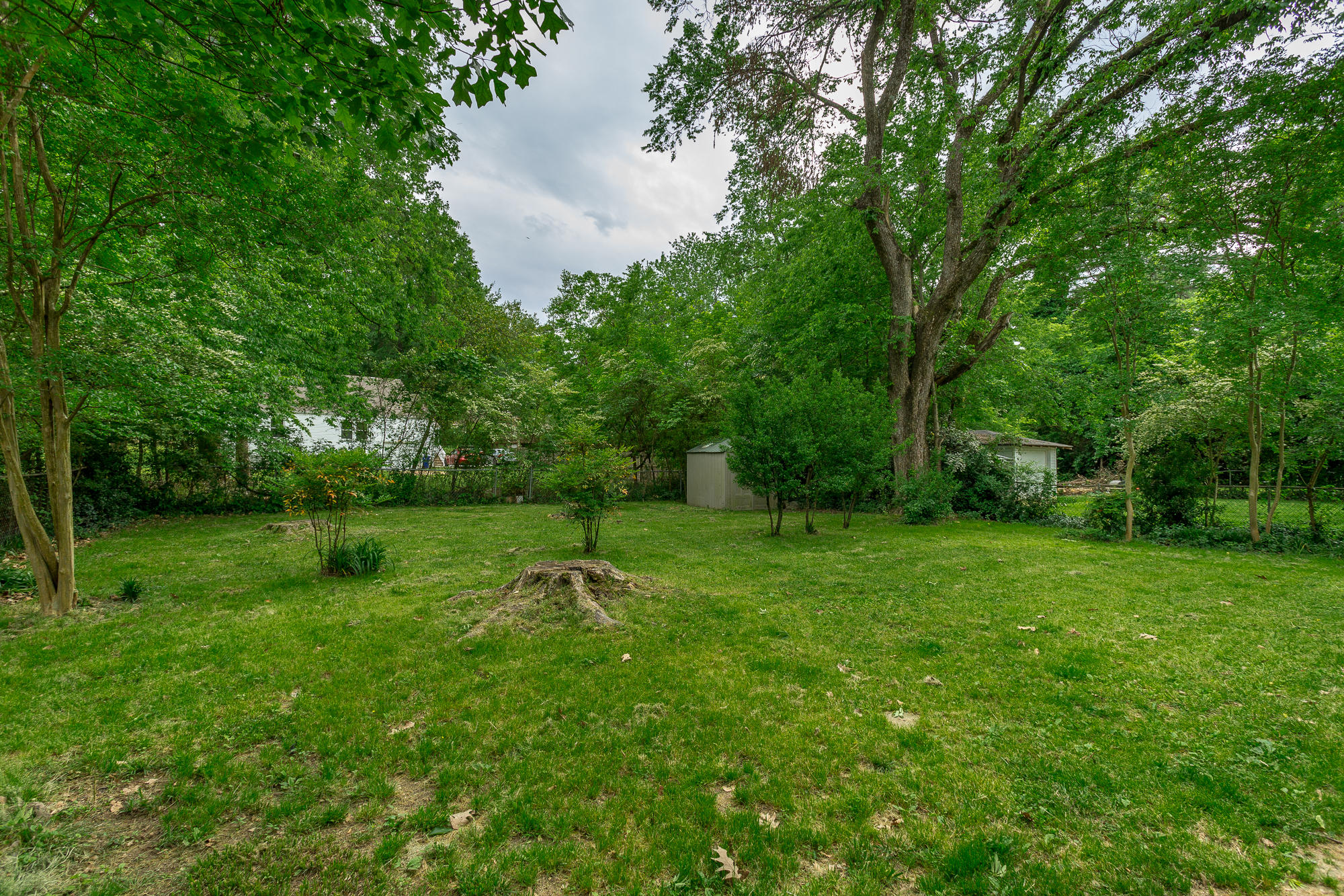 6234 East Brainerd Road Chattanooga, TN 37421 - Photo 26 of 32 Back Yard