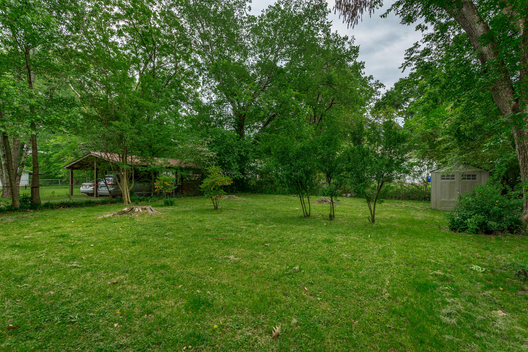6234 East Brainerd Road Chattanooga, TN 37421 - Photo 27 of 32 Back Yard
