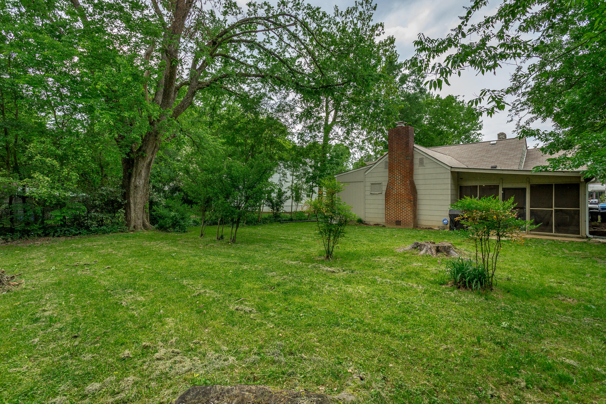 6234 East Brainerd Road Chattanooga, TN 37421 - Photo 29 of 32 Back Yard