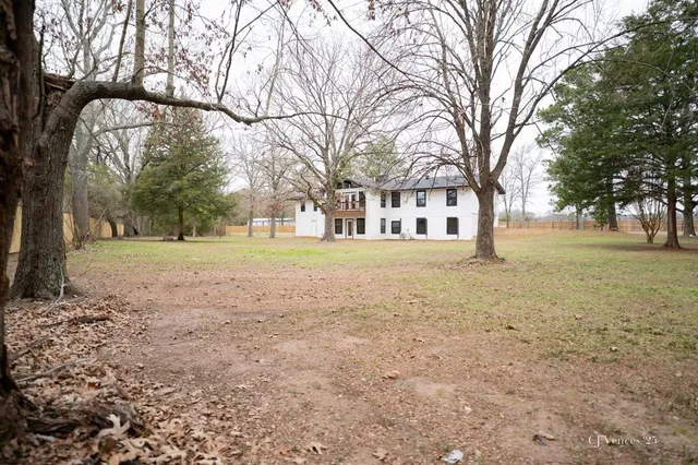 a view of yard with trees