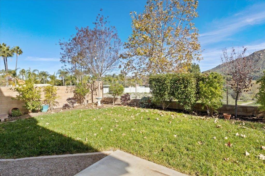 4163 Lake Cir Drive Fallbrook, CA 92028 - Photo 11 of 34 a view of yard with large tree