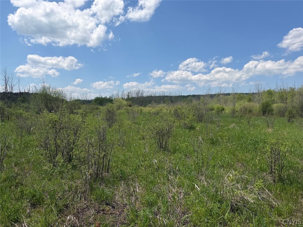 Buttermilk Road South Dayton, NY 14138 - Photo 6 of 26