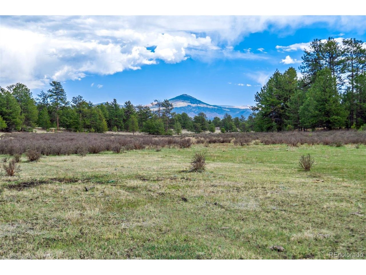103 Doe Valley Road Guffey, CO 80820 - Photo 4 of 46