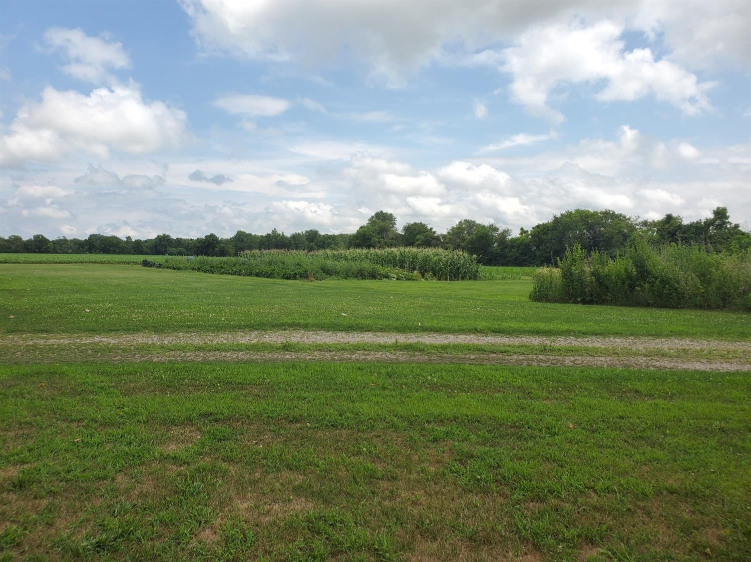 12305 Carpenter Road Milan, MI 48160 - Photo 7 of 8 Photo 7