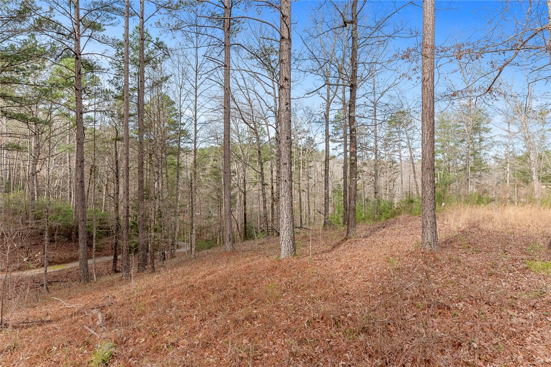 909 Rippling Water Way Salem, SC 29676 - Photo 17 of 24 Gallery Image 17