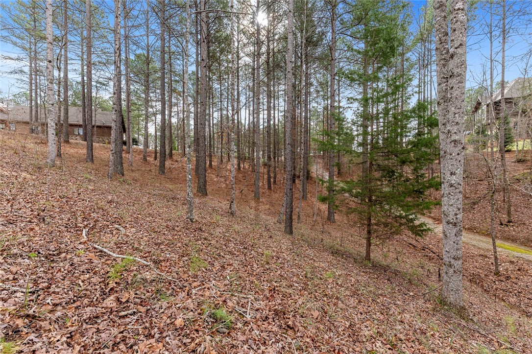 909 Rippling Water Way Salem, SC 29676 - Photo 18 of 24 Gallery Image 18