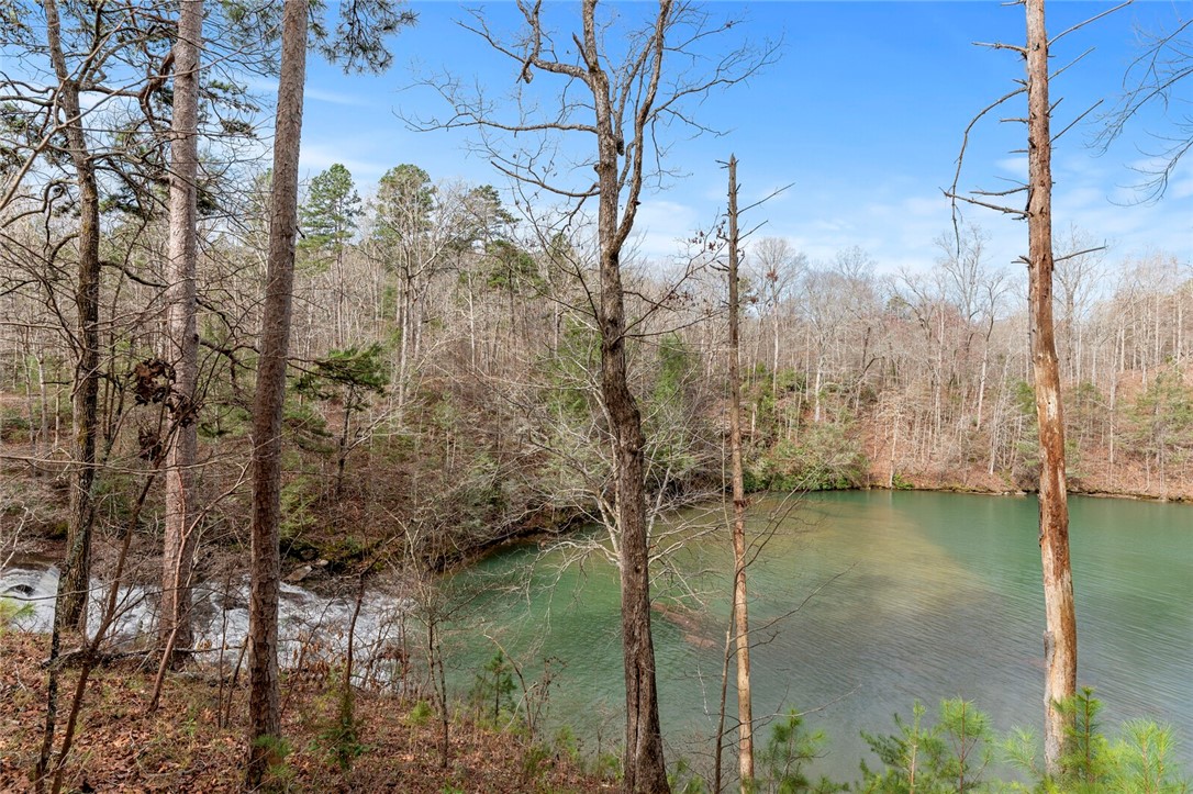 909 Rippling Water Way Salem, SC 29676 - Photo 21 of 24 Gallery Image 21