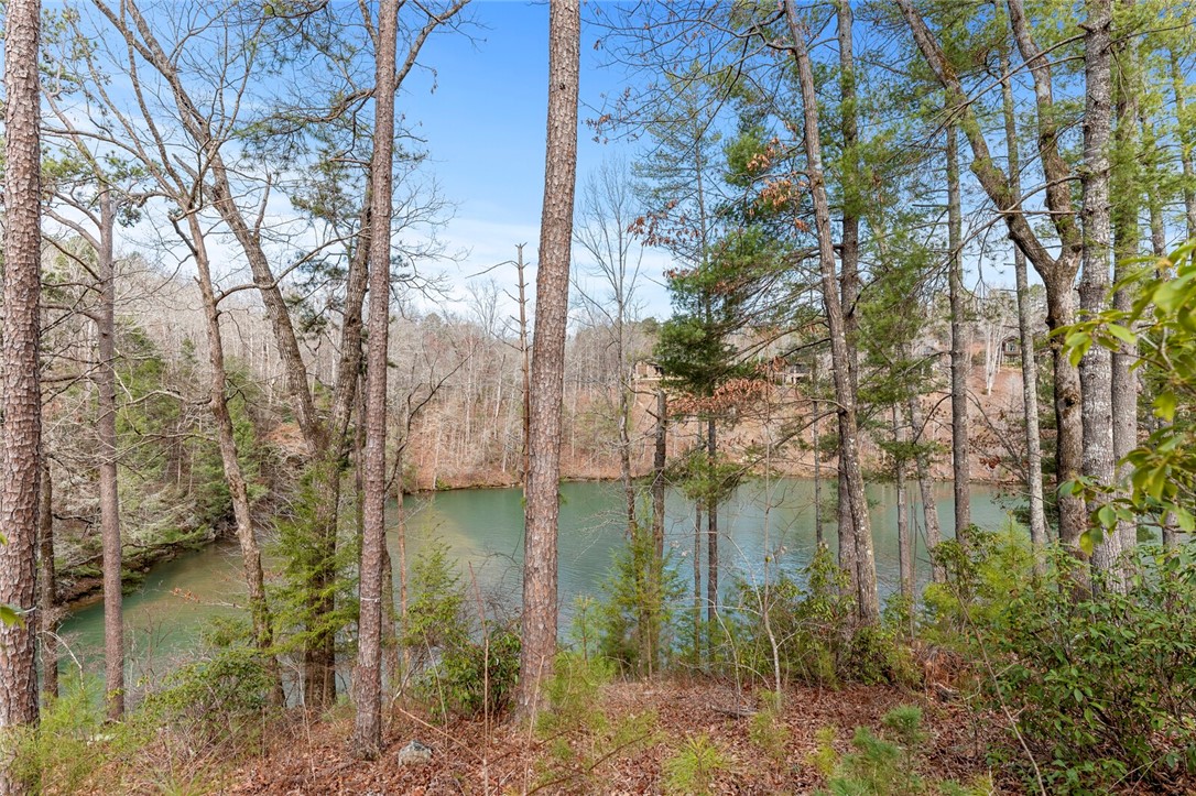 909 Rippling Water Way Salem, SC 29676 - Photo 23 of 24 Gallery Image 23