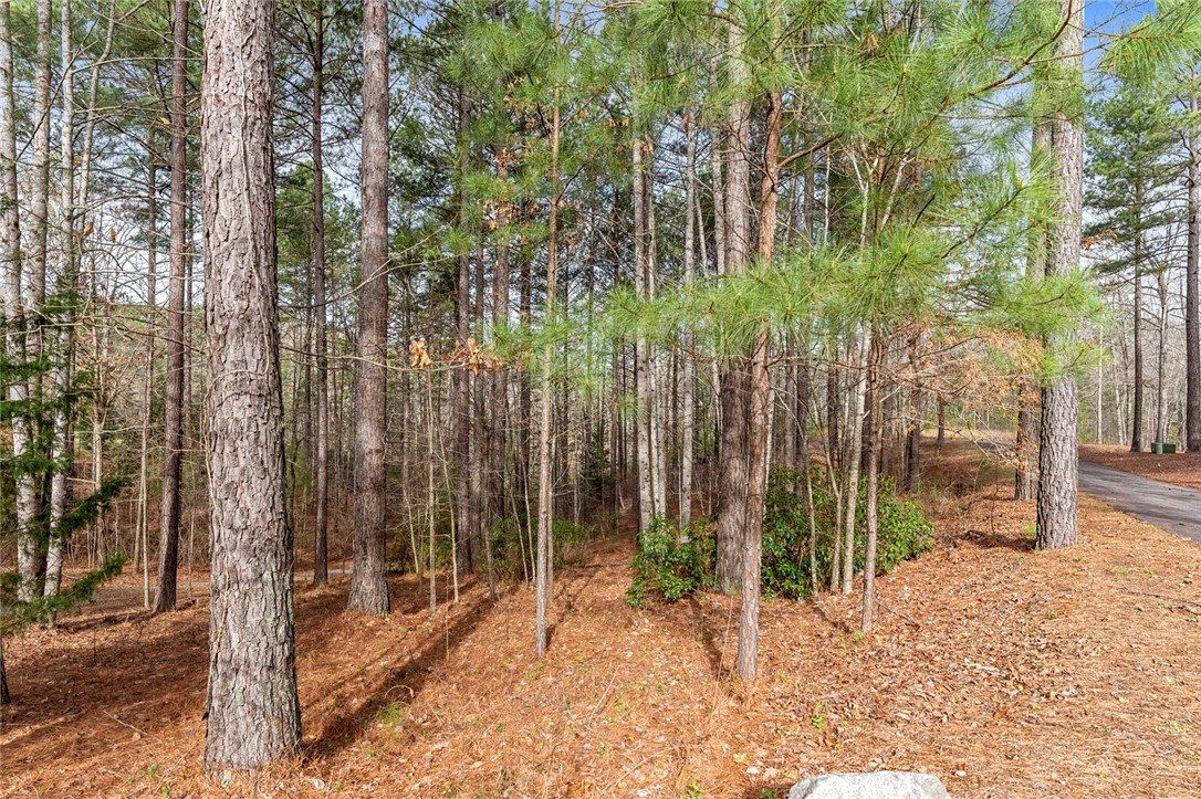 909 Rippling Water Way Salem, SC 29676 - Photo 24 of 24 Gallery Image 24