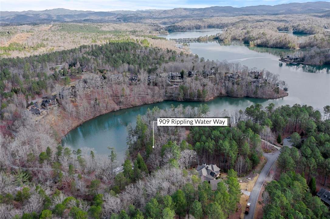 909 Rippling Water Way Salem, SC 29676 - Photo 3 of 24 Waterfall Cove