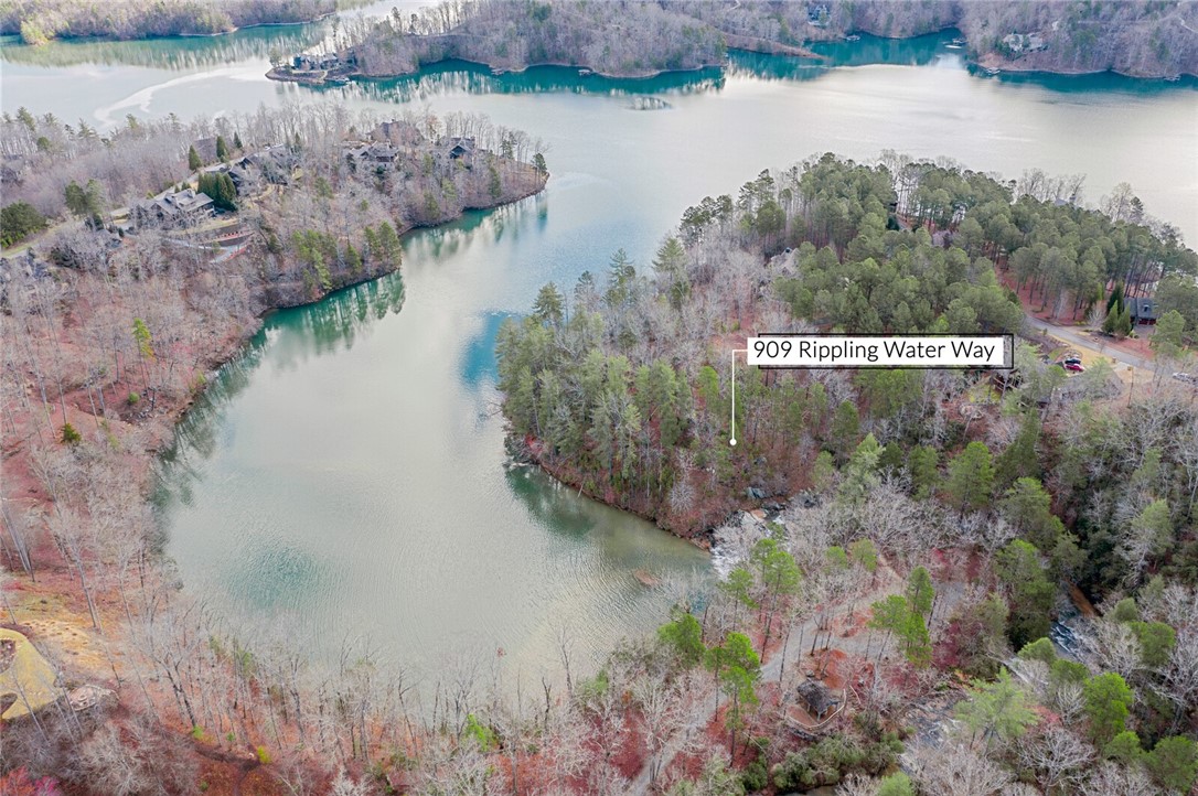 909 Rippling Water Way Salem, SC 29676 - Photo 4 of 24 Waterfall Cove