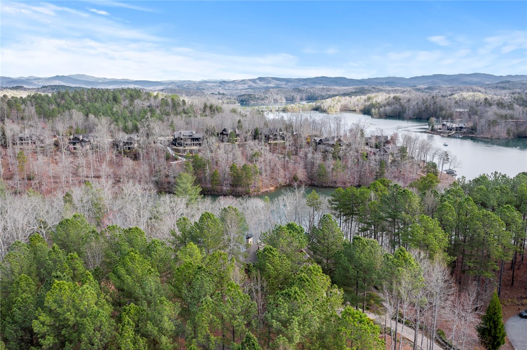 909 Rippling Water Way Salem, SC 29676 - Photo 10 of 24 Beautiful Architecture across cove
