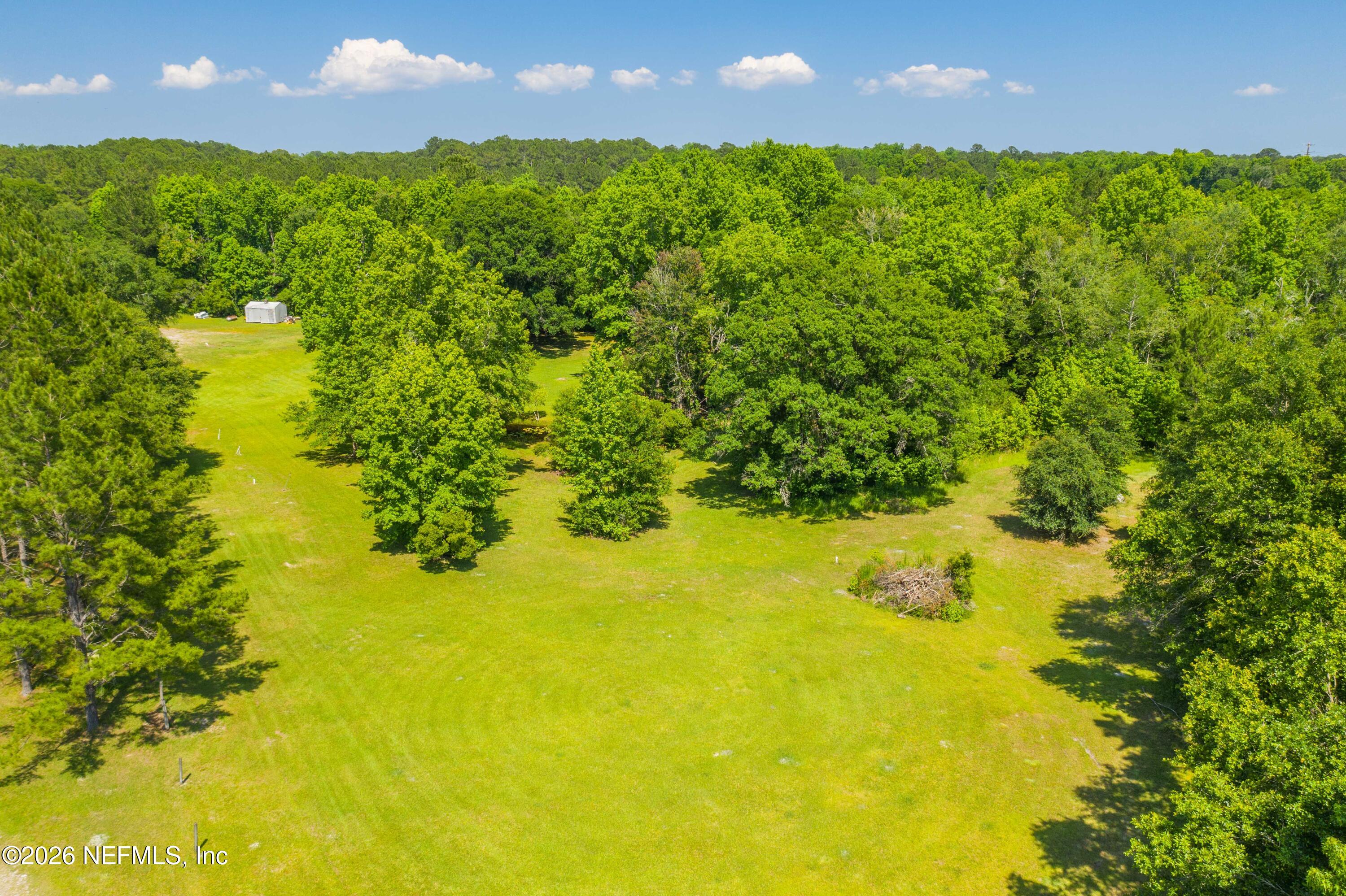 4369 Hawk Haven Road Middleburg, FL 32068 - Photo 12 of 17 a view of yard with swimming pool and outdoor space
