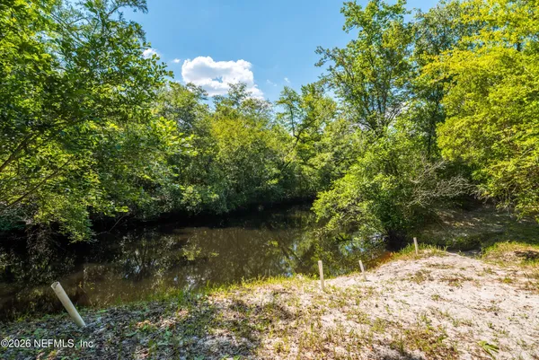 a view of a lake with a tree