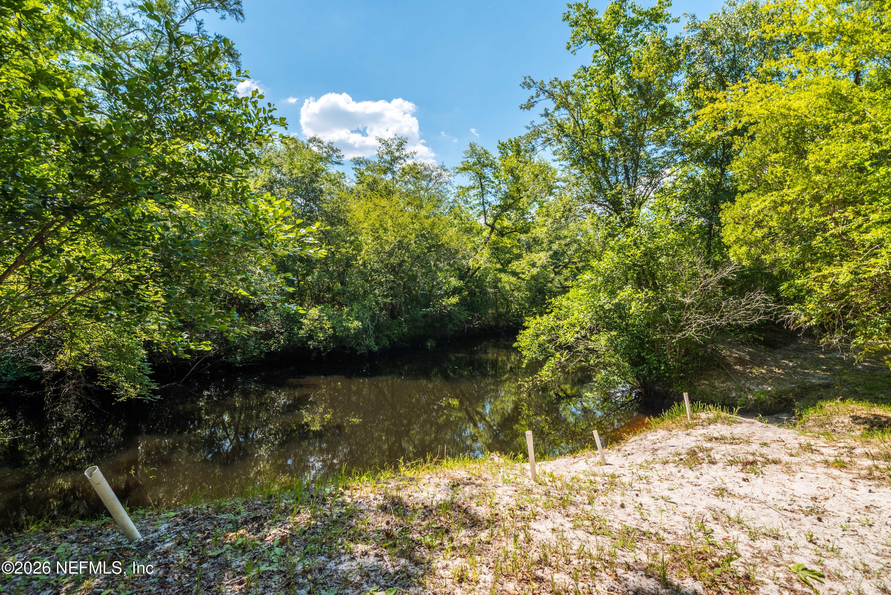 4369 Hawk Haven Road Middleburg, FL 32068 - Photo 4 of 17 a view of a lake with a tree