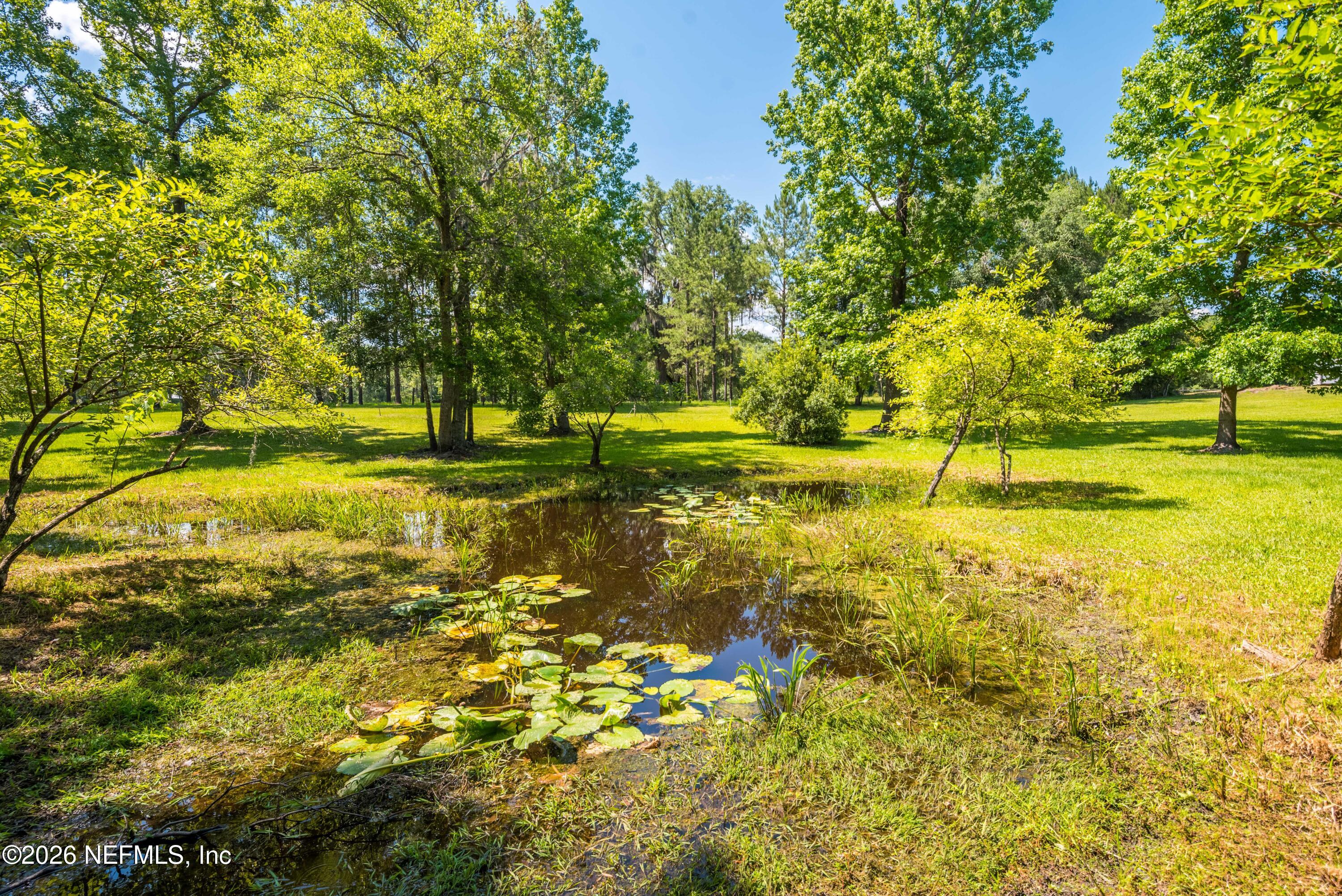 4369 Hawk Haven Road Middleburg, FL 32068 - Photo 10 of 17 a view of a ocean view