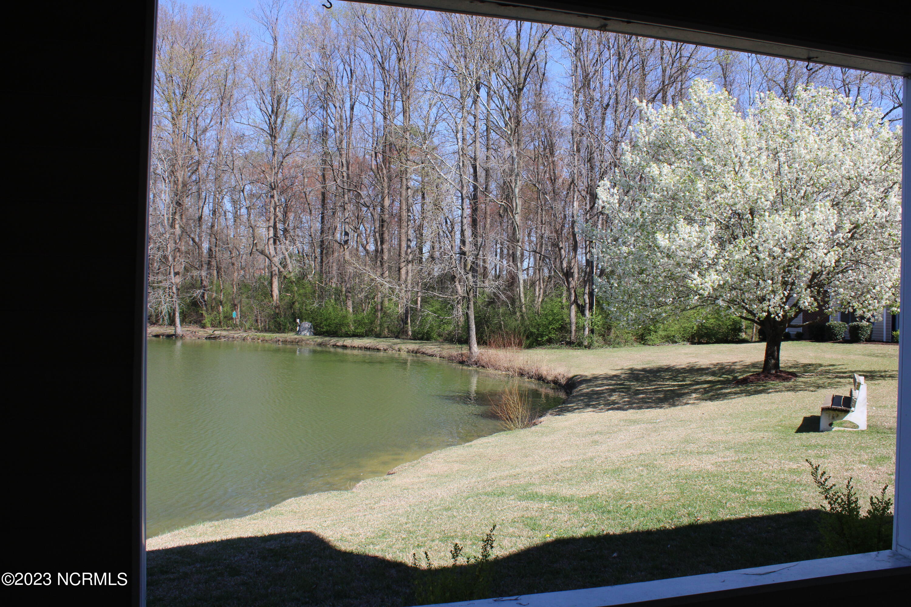 605 Spring Forest Road, Unit B Greenville, NC 27834 - Photo 31 of 36 IMG_1363