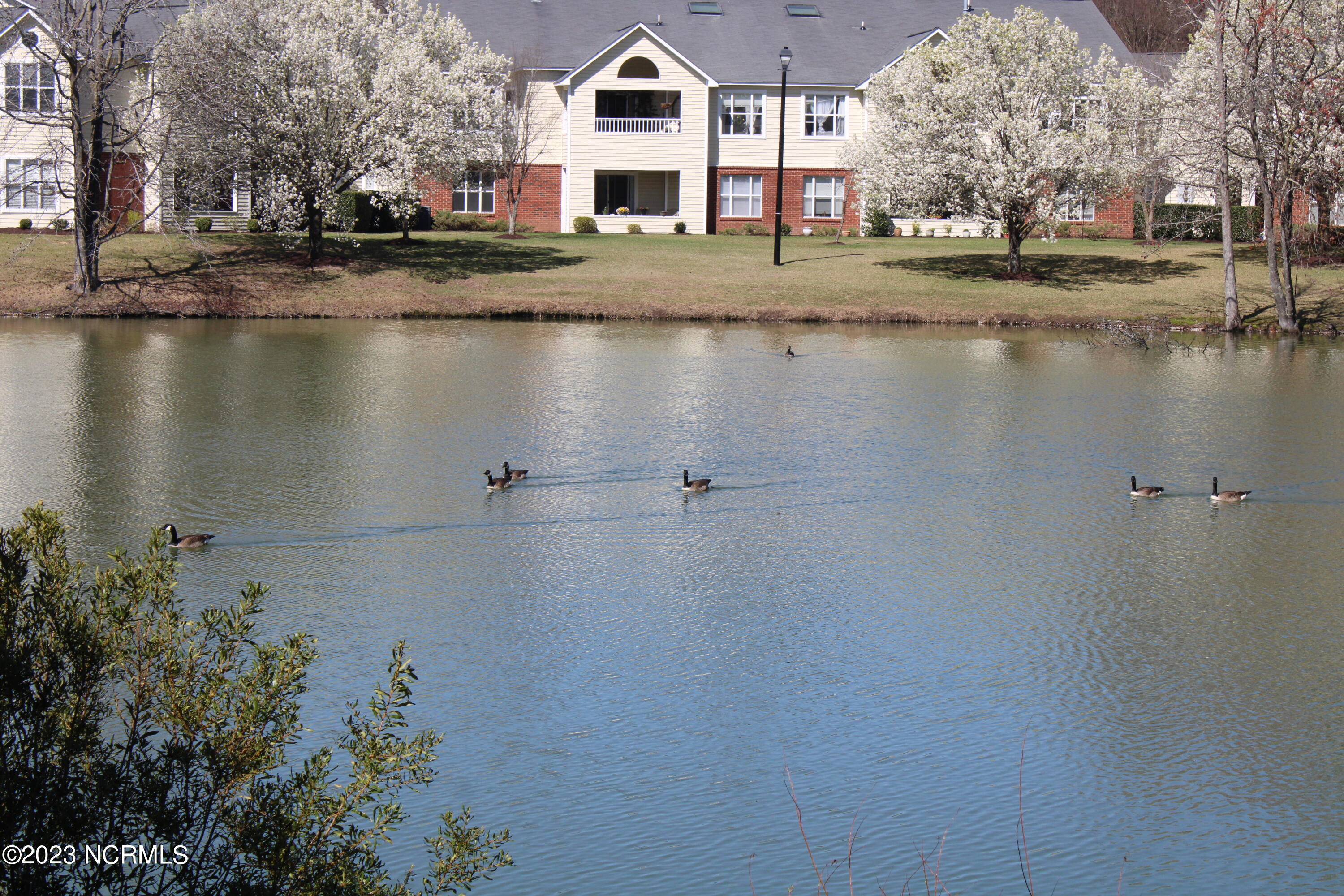605 Spring Forest Road, Unit B Greenville, NC 27834 - Photo 36 of 36 IMG_1368