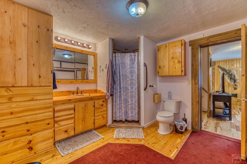 8281 Green Tower Lane Rye, CO 81069 - Photo 21 of 35