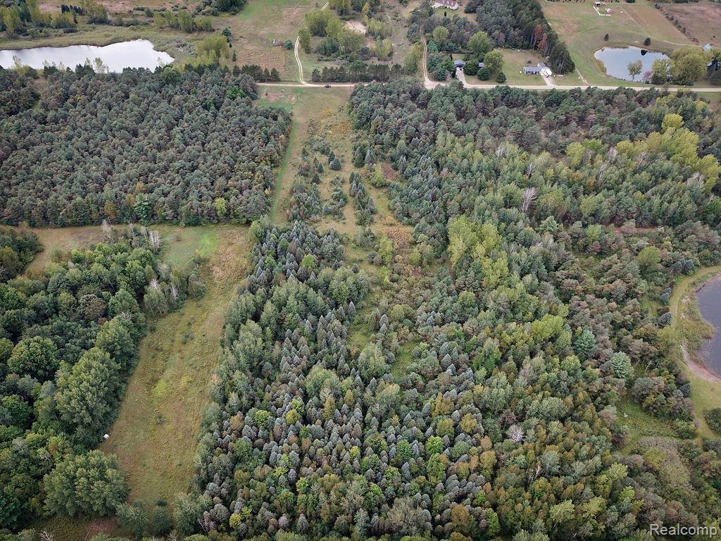 3921 Kile Road Vassar, MI 48768 - Photo 9 of 21 Gallery Image 9