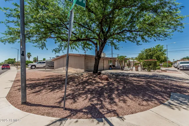 a view of a yard with plants and trees