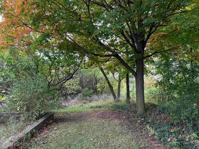 $335,000 | 2852 Highway 22A, Addison, VT 05491