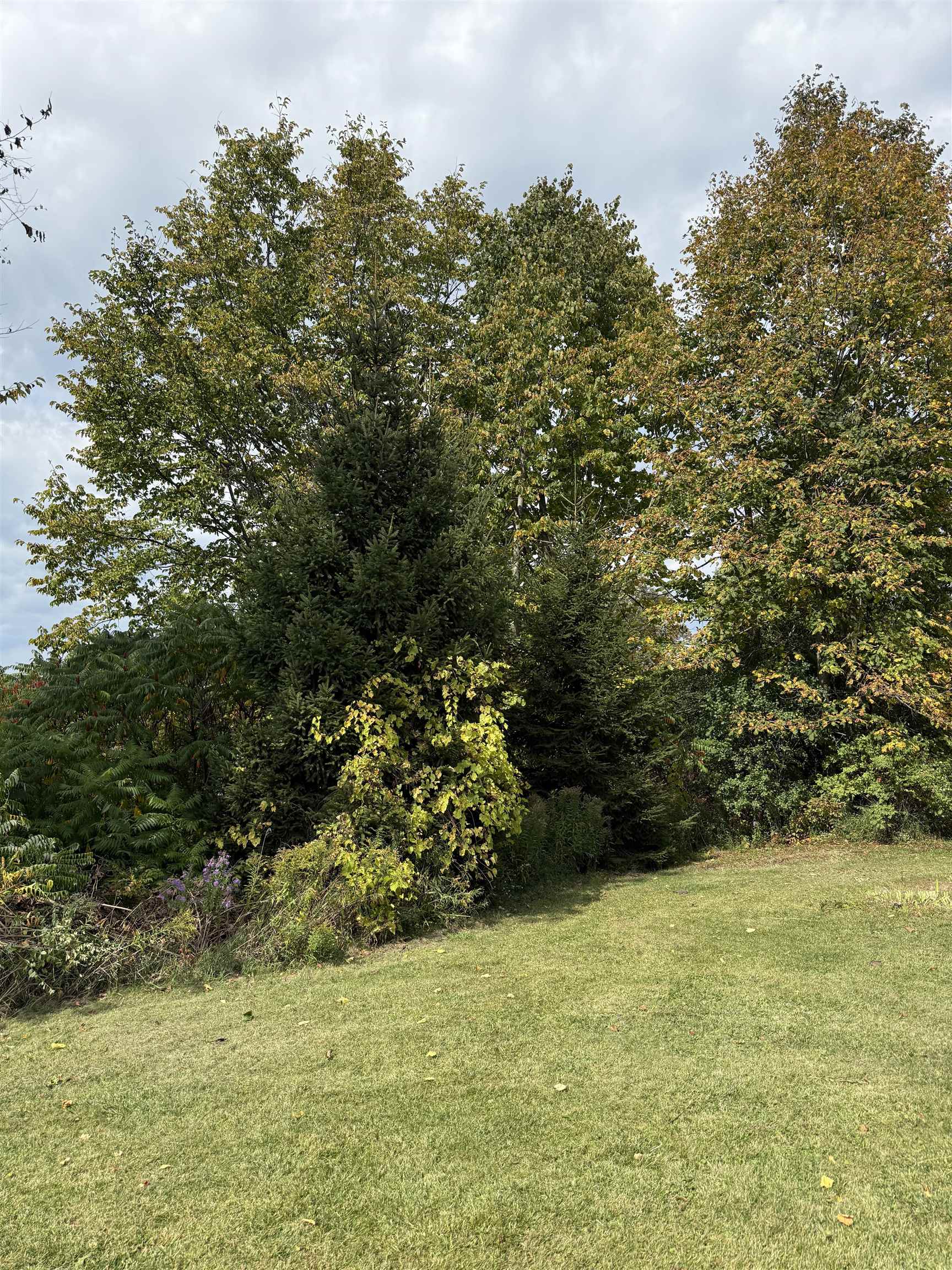 2852 Highway 22A Addison, VT 05491 - Photo 9 of 40