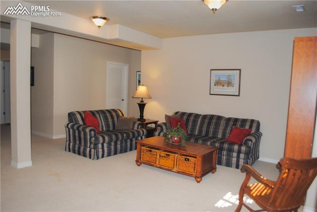 7603 Wichita Ridge Point Colorado Springs, CO 80923 - Photo 20 of 25
