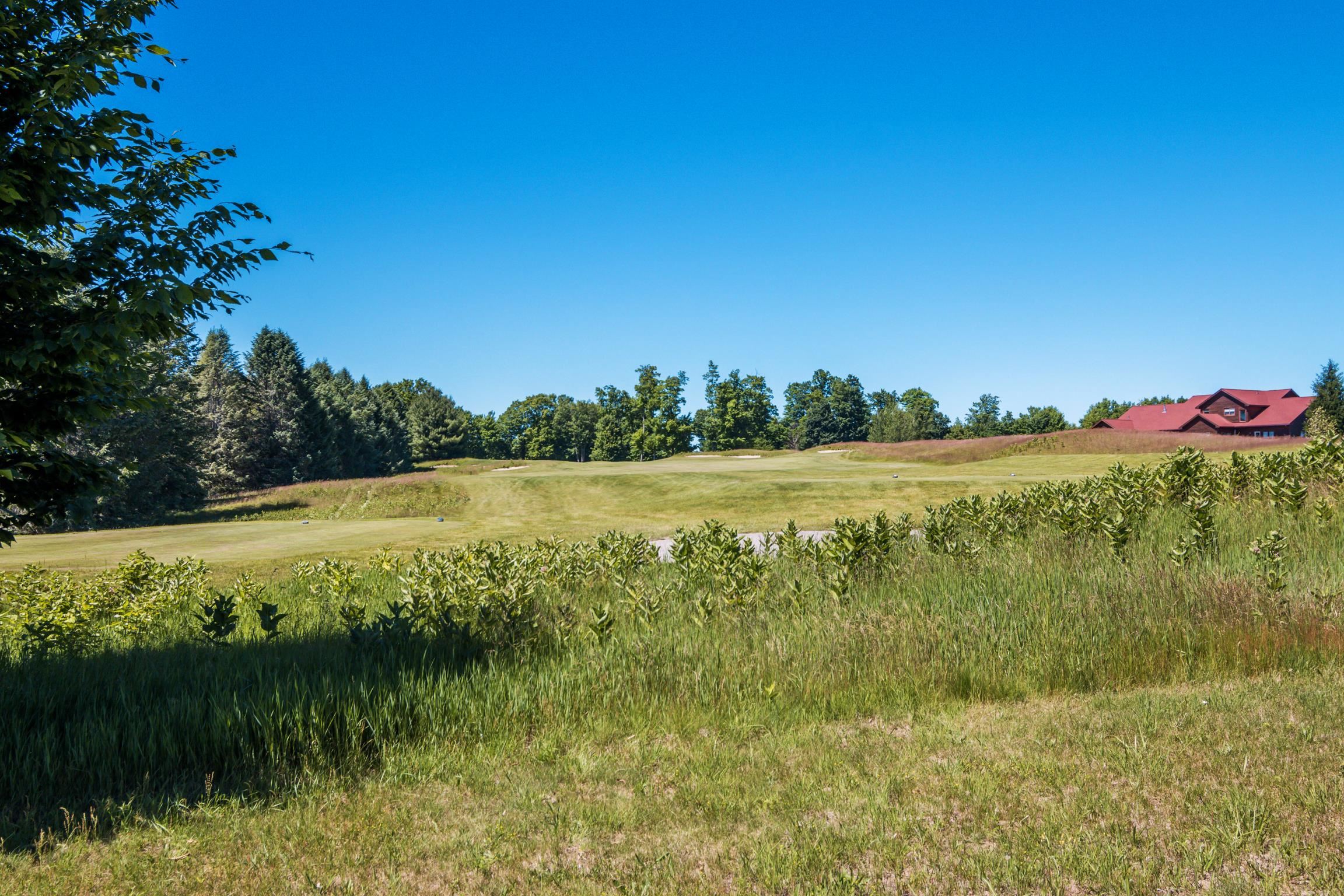 0 McLachlan Road Kewadin, MI 49648 - Photo 19 of 31