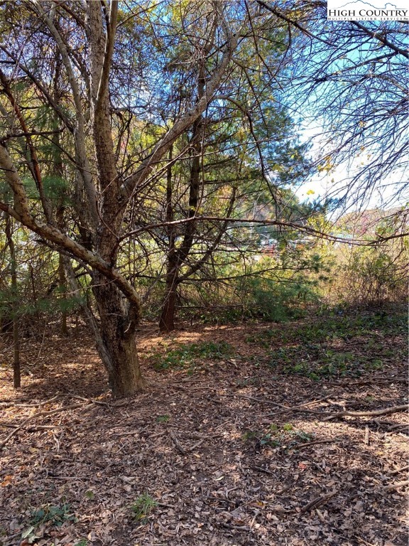 Nc-105 Highway Boone, NC 28607 - Photo 4 of 17