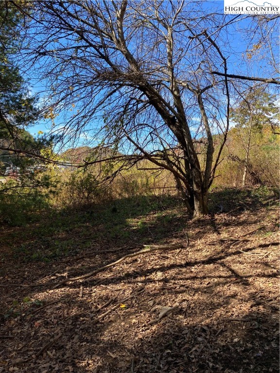 Nc-105 Highway Boone, NC 28607 - Photo 6 of 17