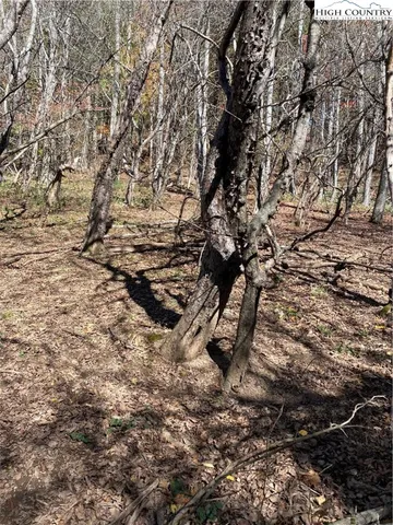 $125,000 | Nc-105 Highway, Boone, NC 28607