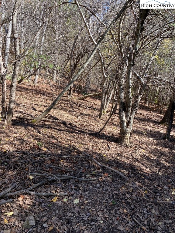 Nc-105 Highway Boone, NC 28607 - Photo 8 of 17