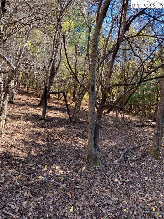 Nc-105 Highway Boone, NC 28607 - Photo 9 of 17