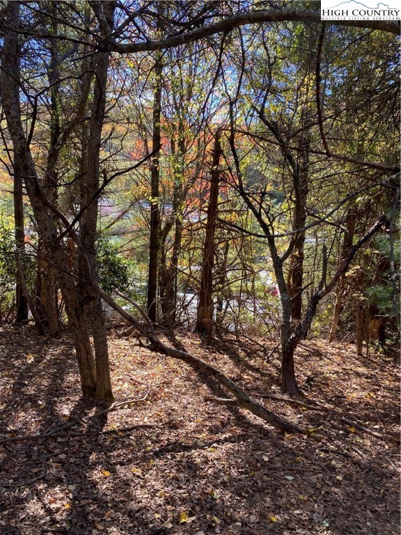 Nc-105 Highway Boone, NC 28607 - Photo 10 of 17