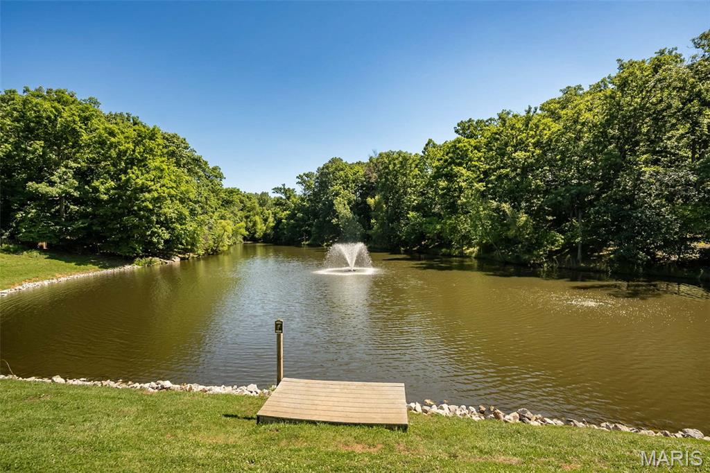 733 Castle Ridge Drive Ballwin, MO 63021 - Photo 69 of 74