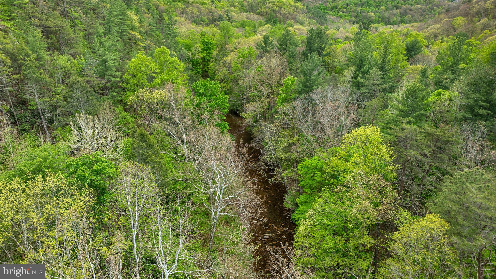 13581 Ford Hill Road Rio, WV 26755 - Photo 56 of 70 DJI_0446_13581 Ford hill Rd - Absolute Altitude -