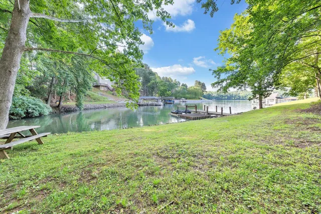 a view of a park with large trees