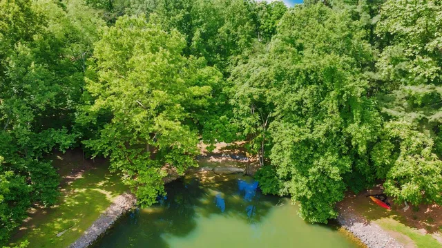 an aerial view of green landscape with trees houses and lake view