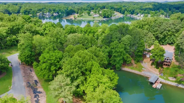 an aerial view of green landscape with trees houses and lake view