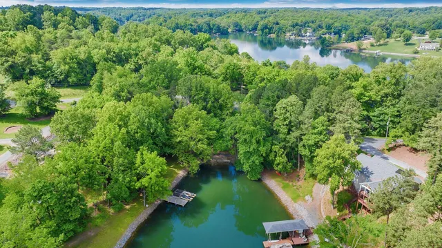 an aerial view of green landscape with trees houses and lake view