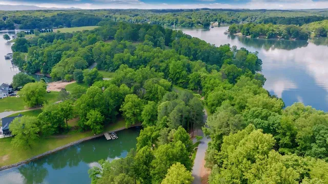 an aerial view of green landscape with trees houses and lake view