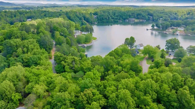 a view of a garden with a lake