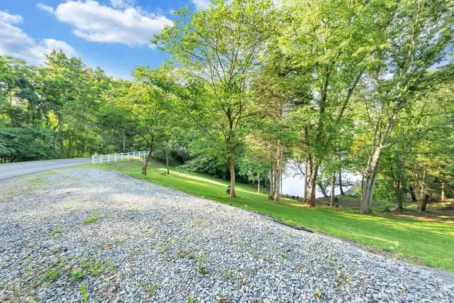 a view of a park with large trees