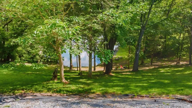 a view of a park with large trees