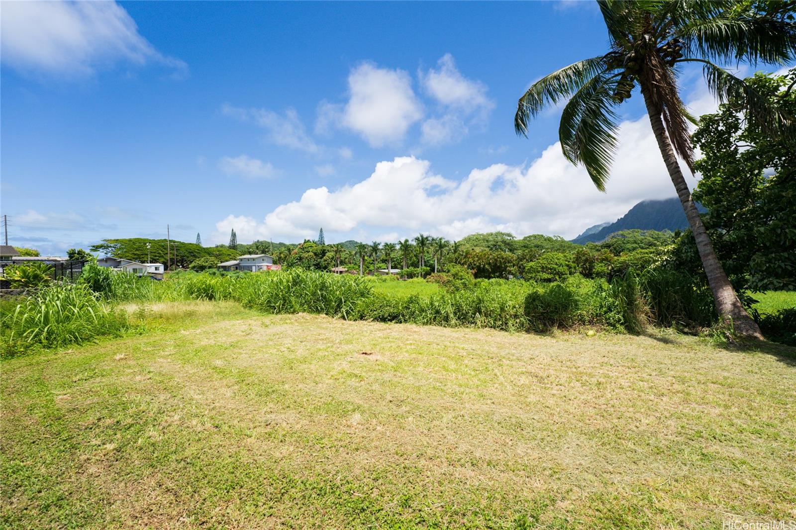 47-318 Waihee Road Kaneohe, HI 96744 - Photo 12 of 15 a view of an outdoor space and a yard