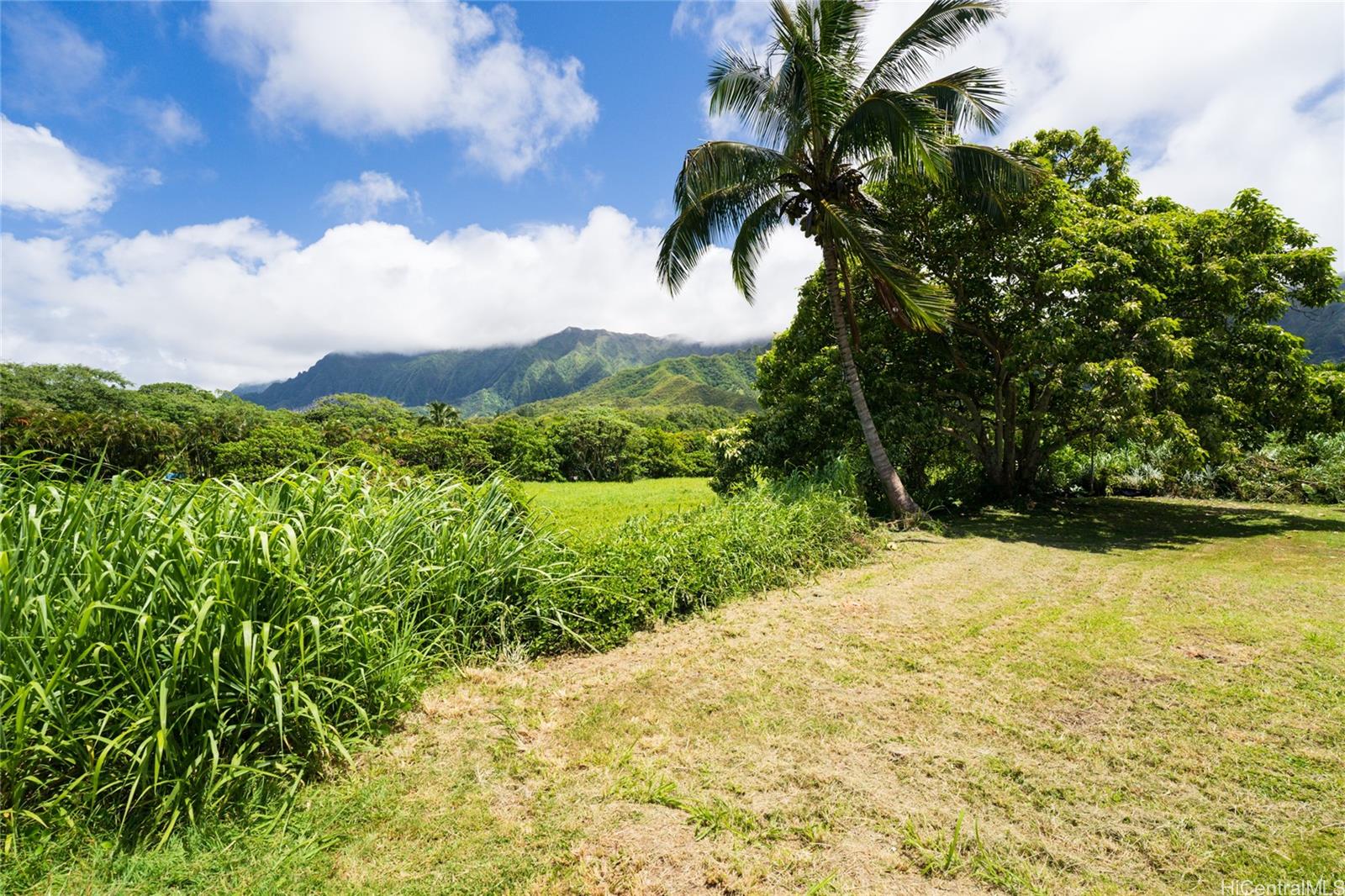 47-318 Waihee Road Kaneohe, HI 96744 - Photo 15 of 15 a view of a yard with a house