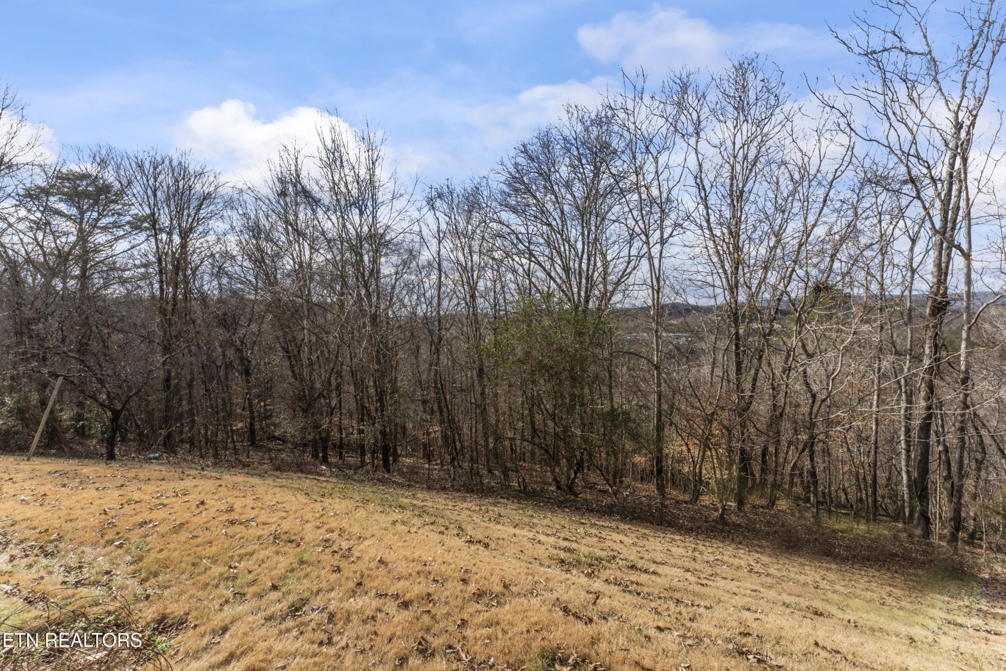 145 Short Street Kingston, TN 37763 - Photo 23 of 29 a view of backyard space