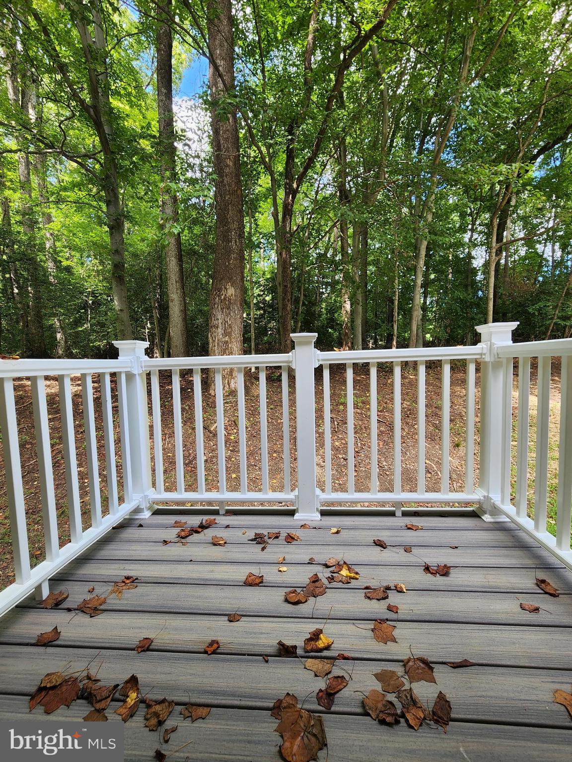 405 Clay Hammond Road Prince Frederick, MD 20678 - Photo 30 of 49 Gallery Image 30