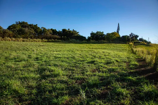 a view of a lake with a house in the background